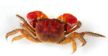 PA视讯集团官网