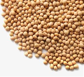 PA视讯集团官网