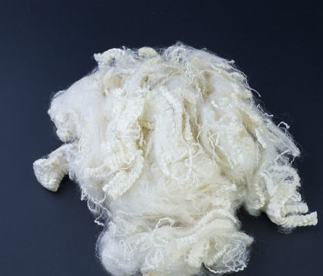 PA视讯集团官网