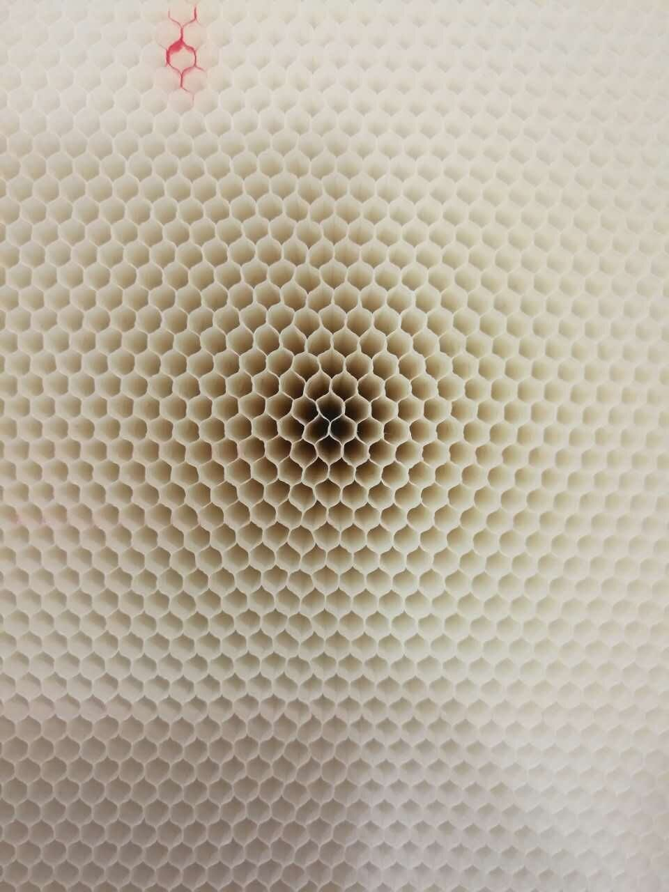 PA视讯集团官网