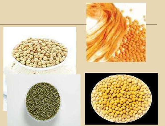 PA视讯集团官网