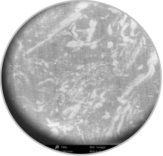 PA视讯集团官网