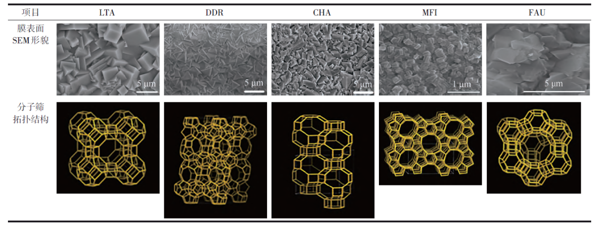 PA视讯集团官网