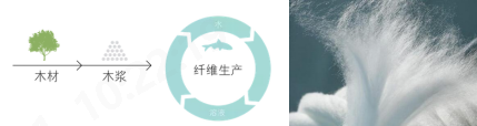 PA视讯集团官网